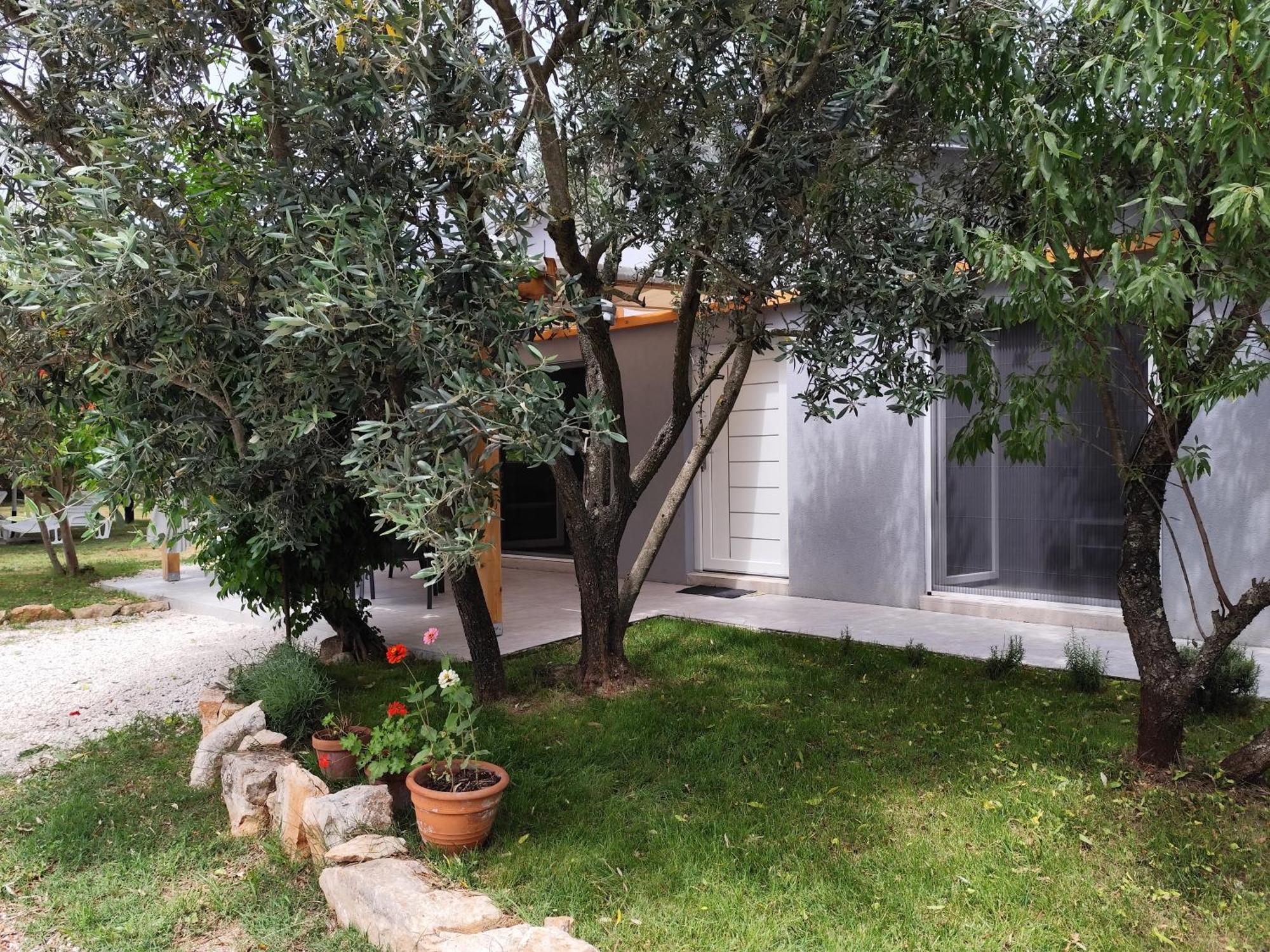 Marti'S House In The Olive Grove Apartment Fazana Exterior photo