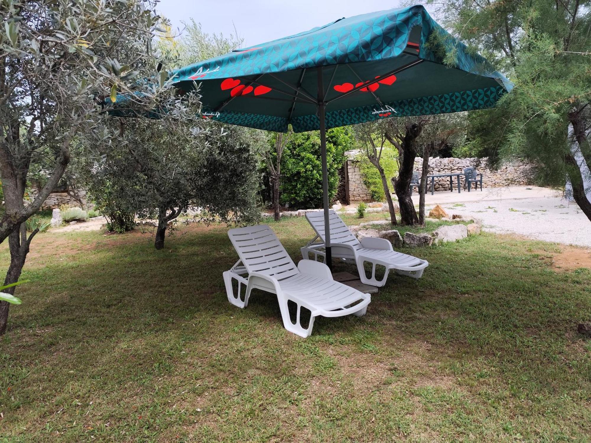Marti'S House In The Olive Grove Apartment Fazana Exterior photo